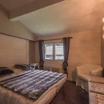 Duplex 6 Pers, Animaux Admis, Parking, Vue Mont Blanc - Fr-1-517-11 Appartement Chamonix