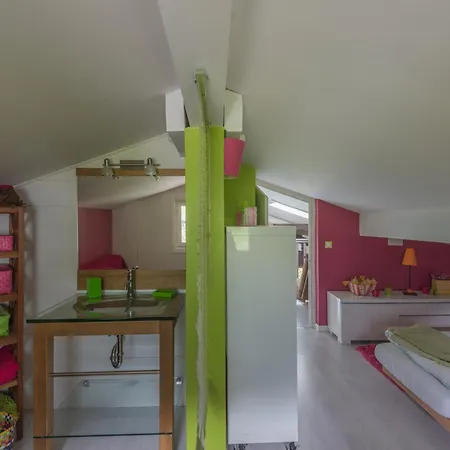 Duplex 6 Pers, Animaux Admis, Parking, Vue Mont Blanc - Fr-1-517-11 *