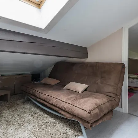 Apartmán Duplex 6 Pers, Animaux Admis, Parking, Vue Mont Blanc - Fr-1-517-11 Chamonix